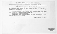 Puccinia asperulae-odoratae image